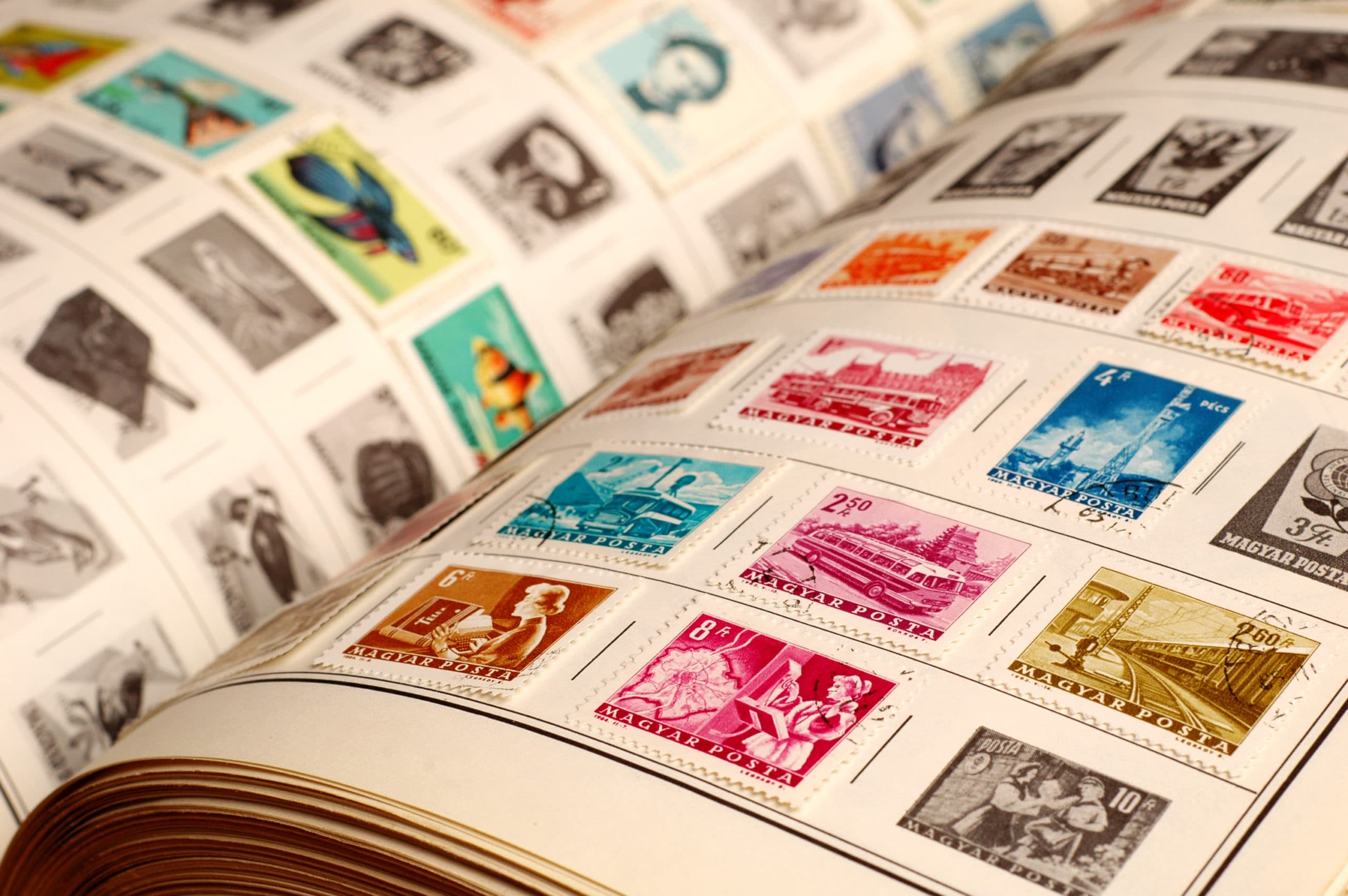 A collector examining stamps in an album